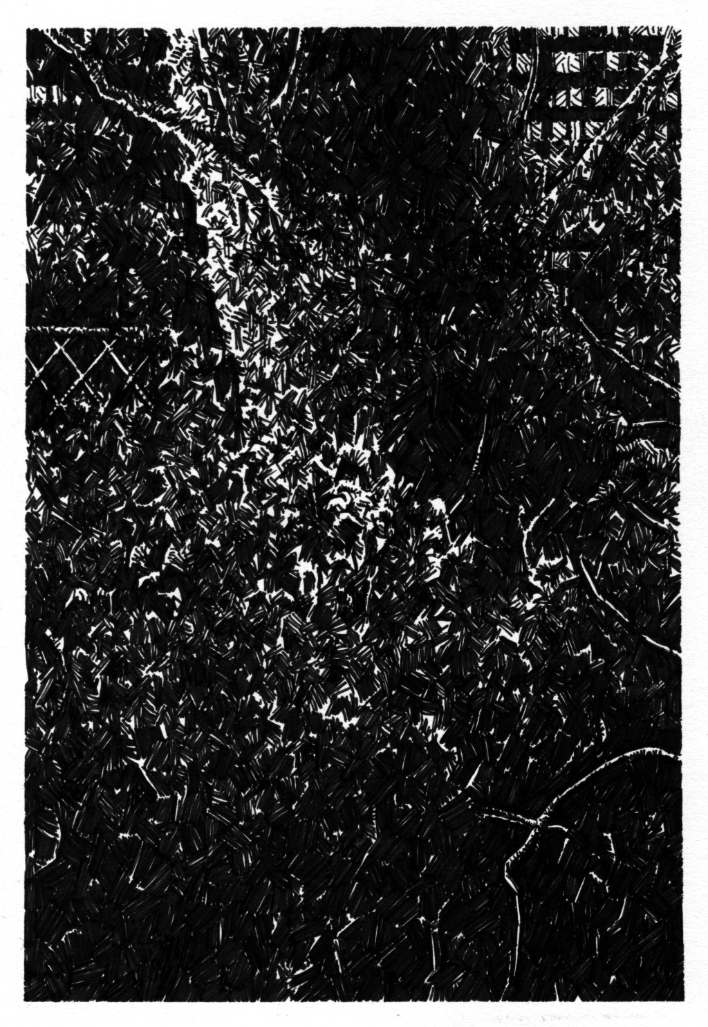 250927A